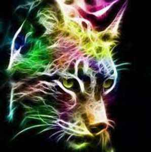 Meet your Posher, Benjamin